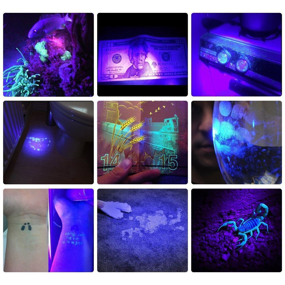 UV Flashlight Curing Ink Nail Curing Detection Lamp