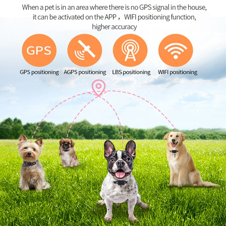 P03 2G Waterproof Pet GPS Tracker GPS+AGPS+WiFi+LBS Locator