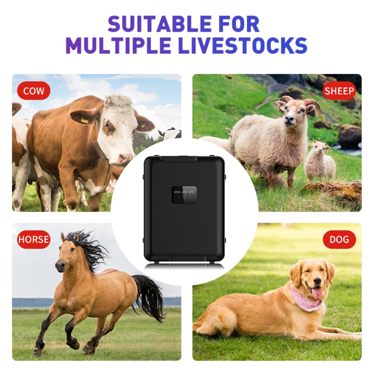 Multifunctional Waterproof Livestock Locator Tracker