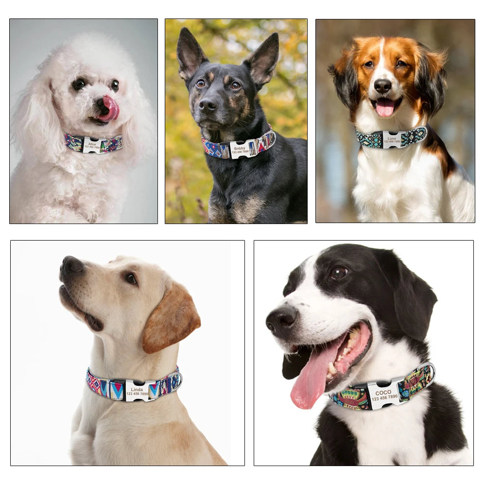 Personalized Nylon Dog Collar with Engraved ID Tag