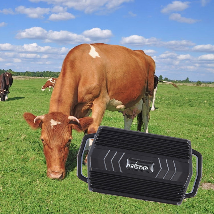 TKSTAR TK935 3000mAh GPS Pet Livestock Car Tracker Waterproof Locator