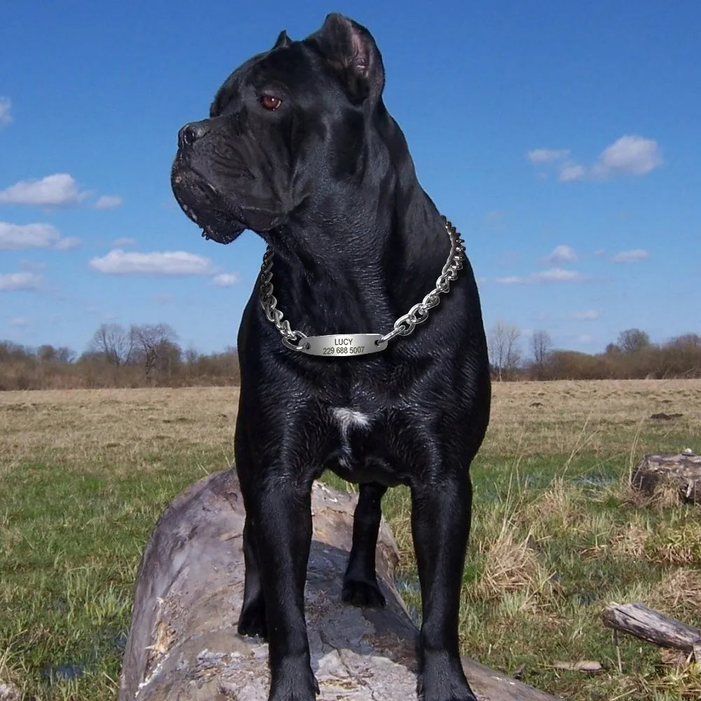 Engraved ID Choke Collar for Medium/Large Dogs