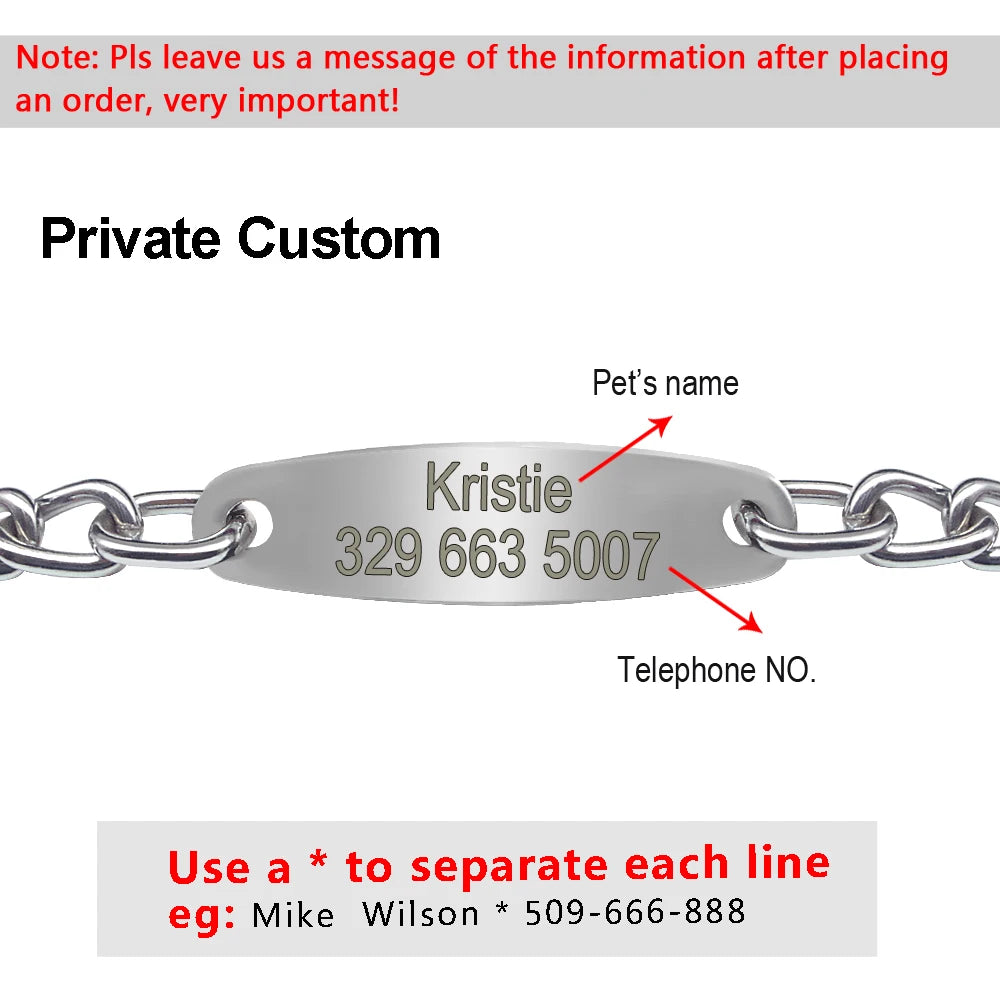 Engraved ID Choke Collar for Medium/Large Dogs