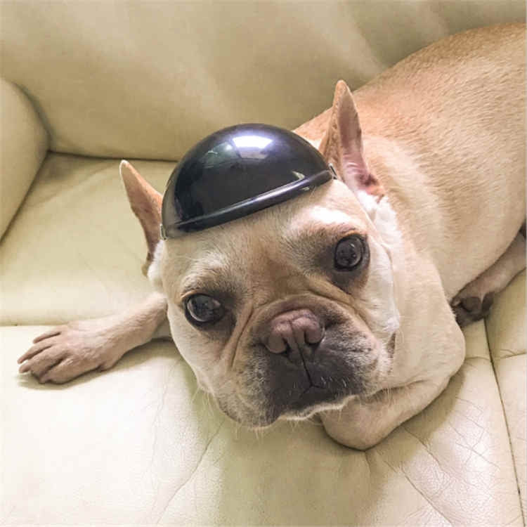 Pet Helmet Locomotive Lelmet Dog Cat Accessories