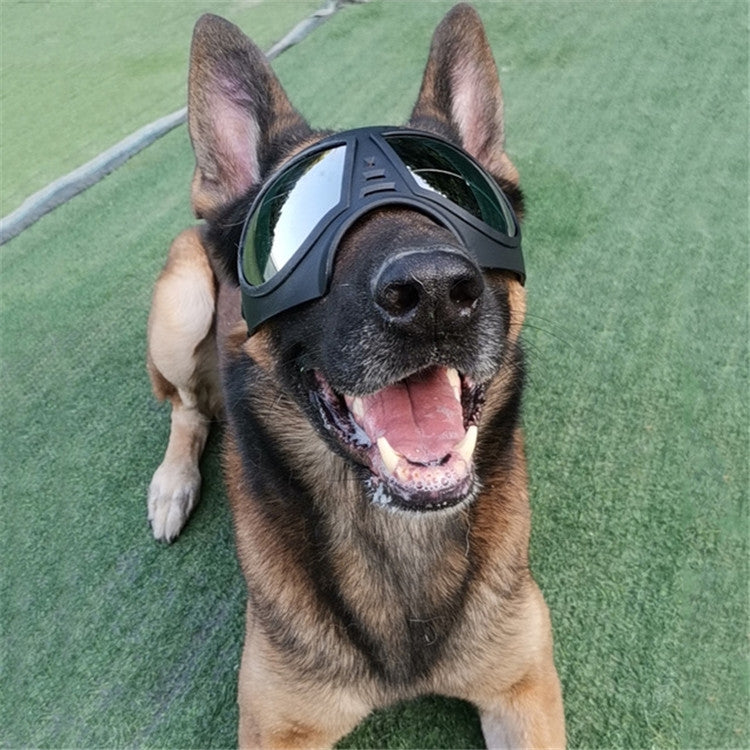 Pet Mask Glasses Waterproof And Snowproof Soft Frame Goggles Dog Supplies Sunglasses