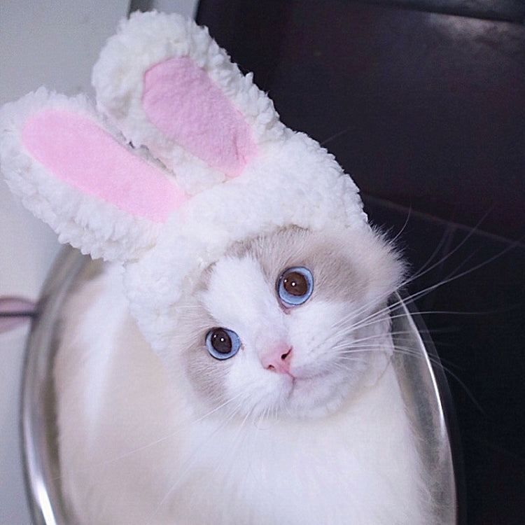 Lovely Rabbit Ear Cat Pet Headgear Headwear