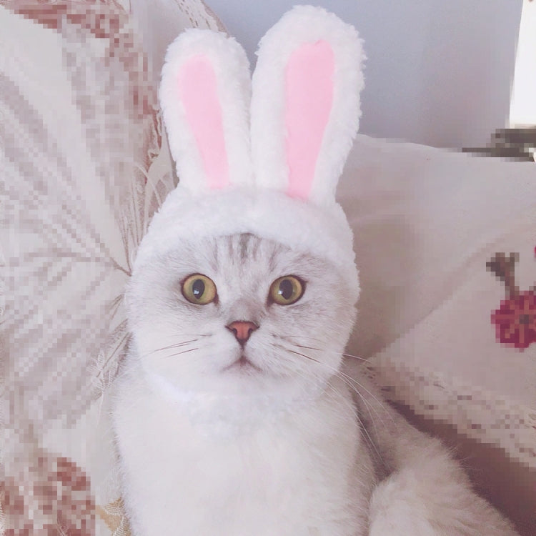 Lovely Rabbit Ear Cat Pet Headgear Headwear