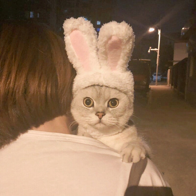 Lovely Rabbit Ear Cat Pet Headgear Headwear