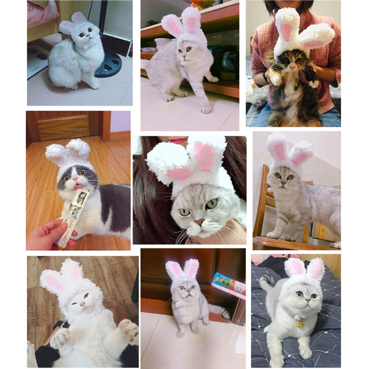 Lovely Rabbit Ear Cat Pet Headgear Headwear