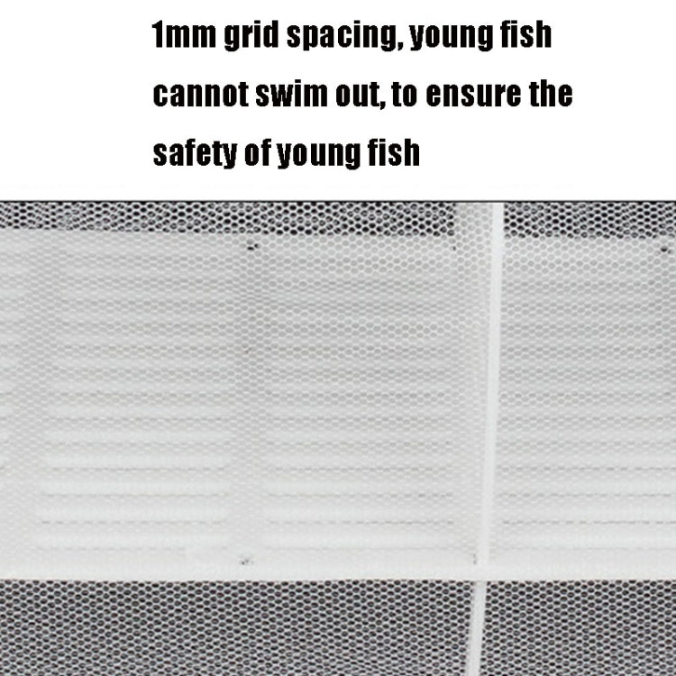 Large Aquarium Incubator Small Fish Isolation Box Net Tropical Fish Breeding Box