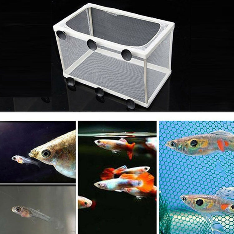 Large Aquarium Incubator Small Fish Isolation Box Net Tropical Fish Breeding Box, Without Clapboard