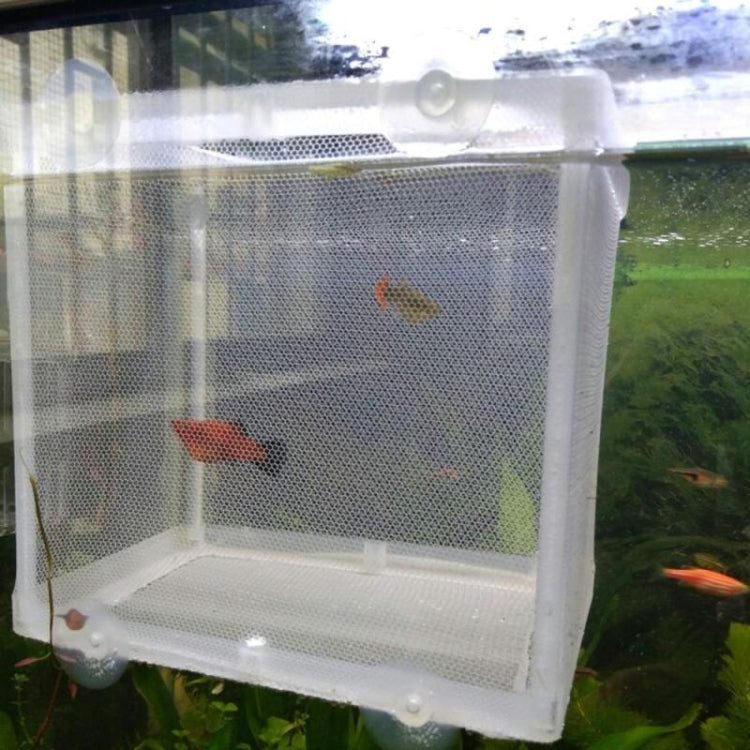 Small Aquarium Incubator Small Fish Isolation Box Net Tropical Fish Breeding Box, Without Clapboard