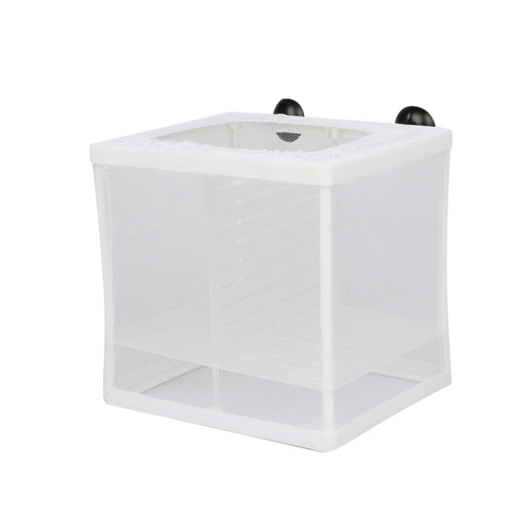 Small Size With Clapboard Incubator Small Fish Isolation Box Net Tropical Fish Breeding Box