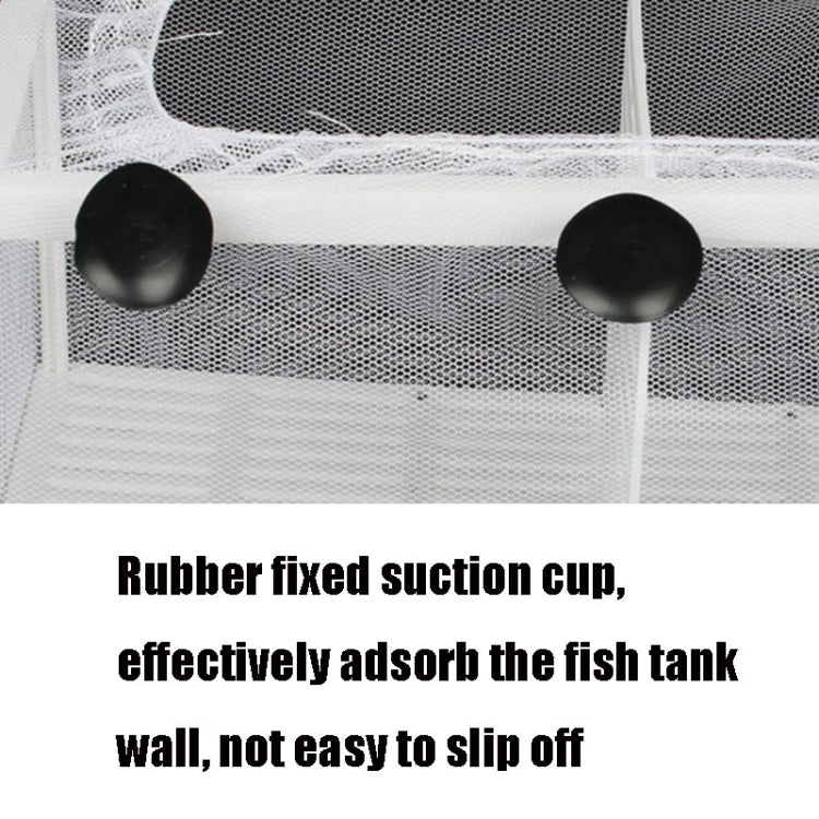 Small Size With Clapboard Incubator Small Fish Isolation Box Net Tropical Fish Breeding Box