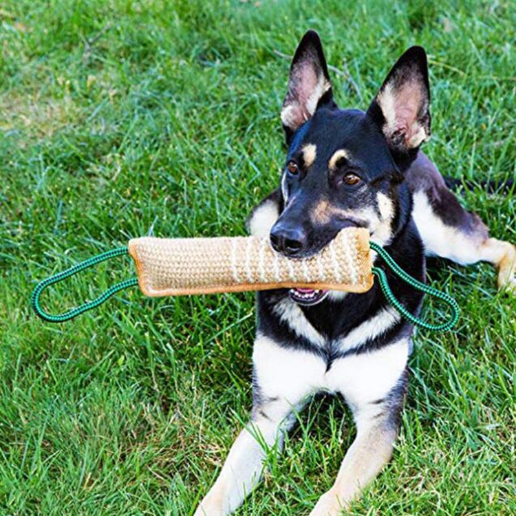 Dog Training Hemp Bite Stick Dog Bite Stick Dog Training Supplies