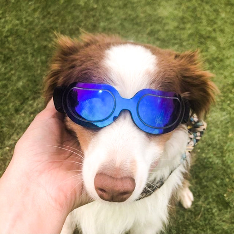 Dog Glasses Sunglasses Pet Glasses