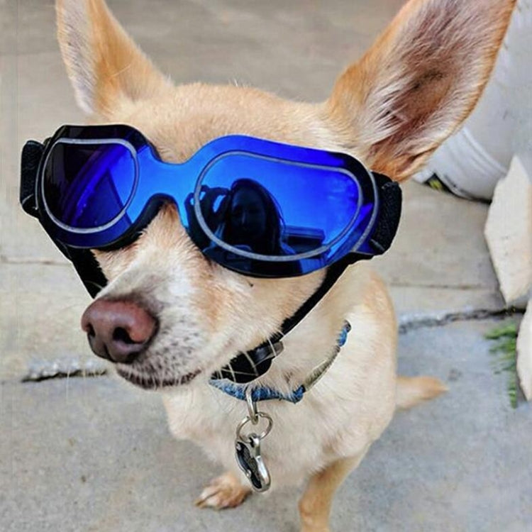 Dog Glasses Sunglasses Pet Glasses