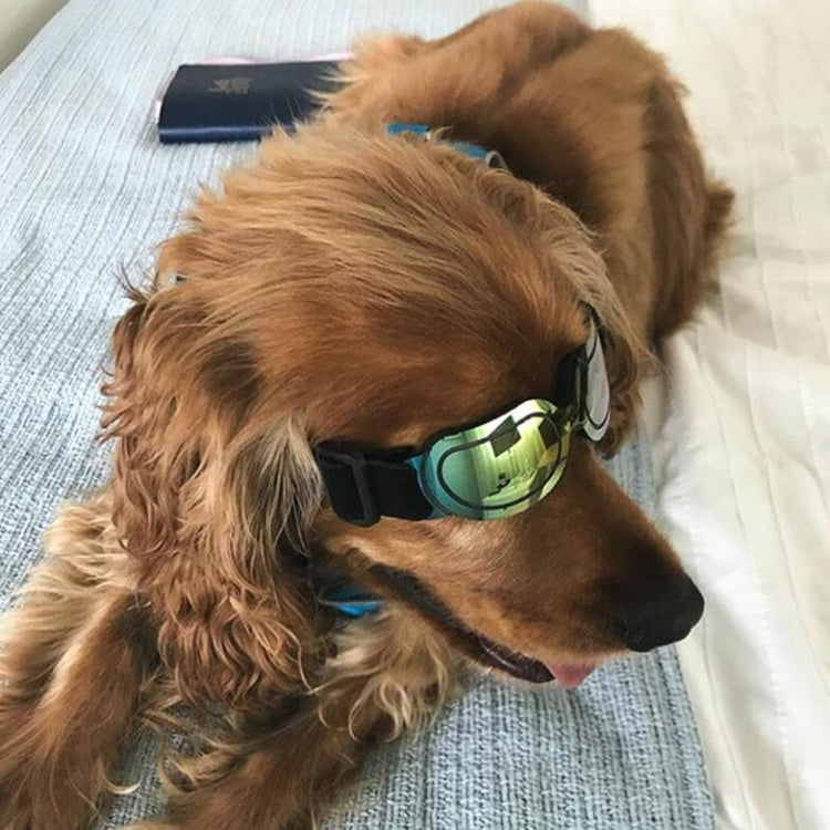 Dog Glasses Sunglasses Pet Glasses