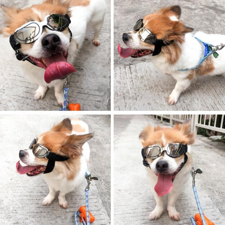 Dog Glasses Sunglasses Pet Glasses