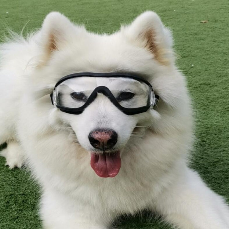 Pet Goggles Dog Transparent Glasses Waterproof Windproof Snowproof Dog Glasses