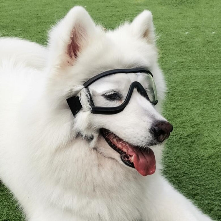 Pet Goggles Dog Transparent Glasses Waterproof Windproof Snowproof Dog Glasses