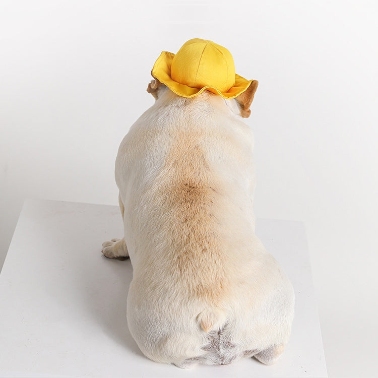 Dog Hat Summer Cool Photo Decoration Pet Cat Sun Hat