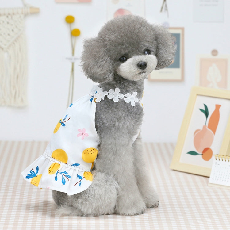 Pet Clothing Dog Cat Dress Bayberry Skirt