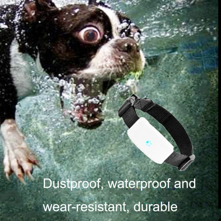 TK911 2G Pet Waterproof GPS Tracker