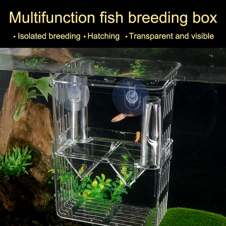 Peacock Fish Double Layer Transparent Breeding Isolation Box Aquarium Breeding Box