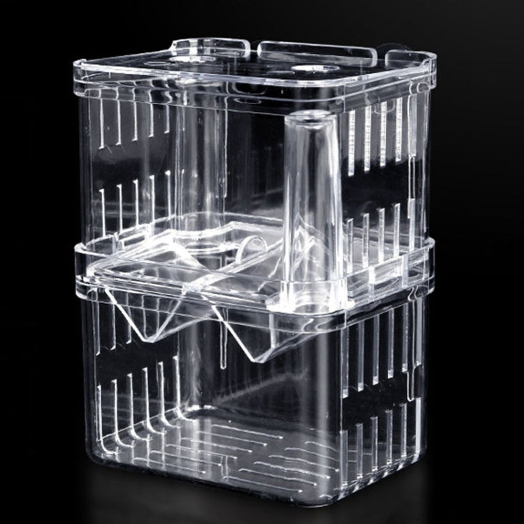 Peacock Fish Double Layer Transparent Breeding Isolation Box Aquarium Breeding Box