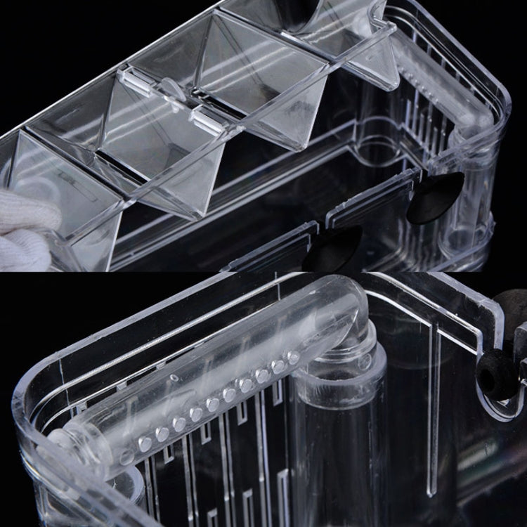 Peacock Fish Double Layer Transparent Breeding Isolation Box Aquarium Breeding Box