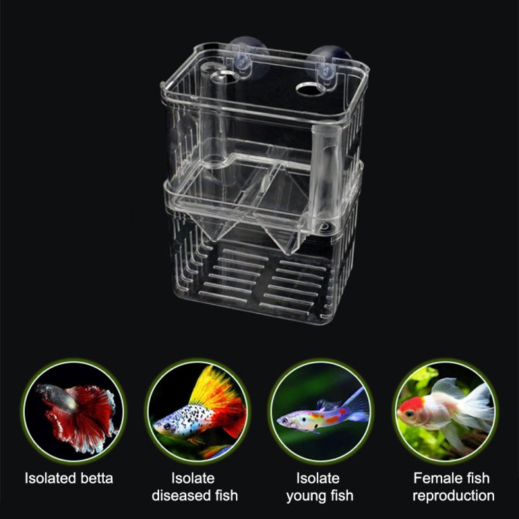 Peacock Fish Double Layer Transparent Breeding Isolation Box Aquarium Breeding Box