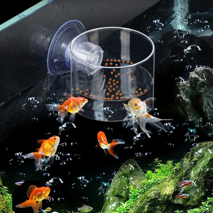 Acrylic Transparent Feeding Ring Fish Tank Feeder Floating Fixed Fish Feeder