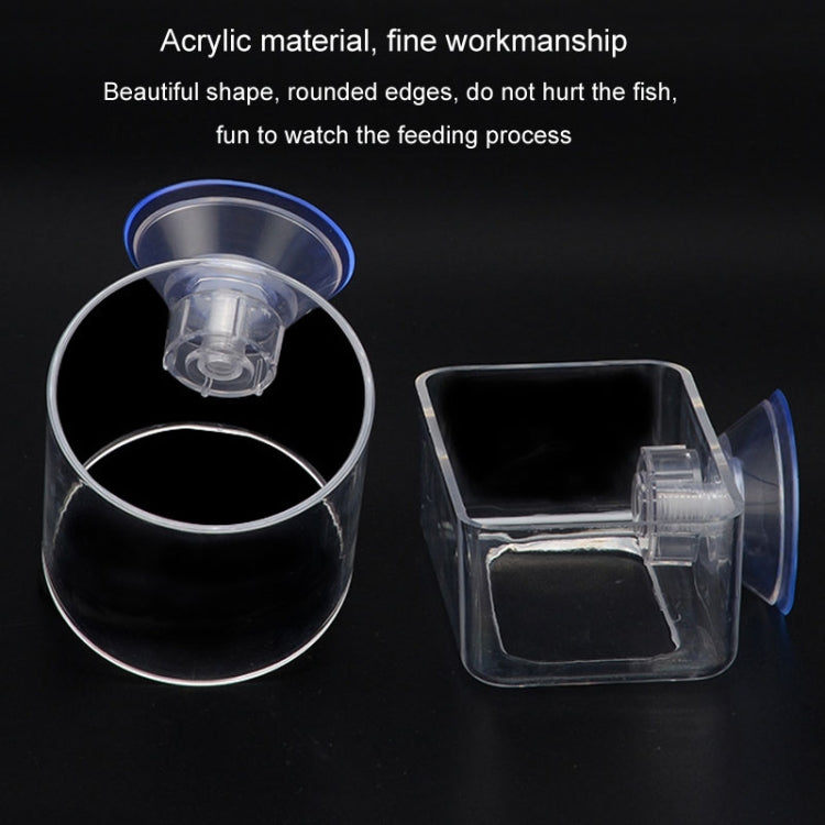 Acrylic Transparent Feeding Ring Fish Tank Feeder Floating Fixed Fish Feeder