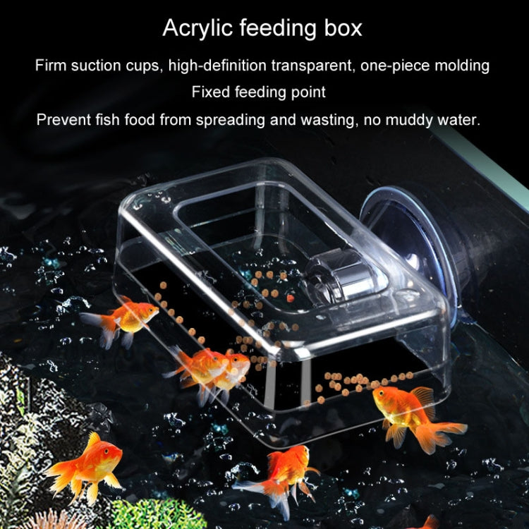 Acrylic Transparent Feeding Ring Fish Tank Feeder Floating Fixed Fish Feeder