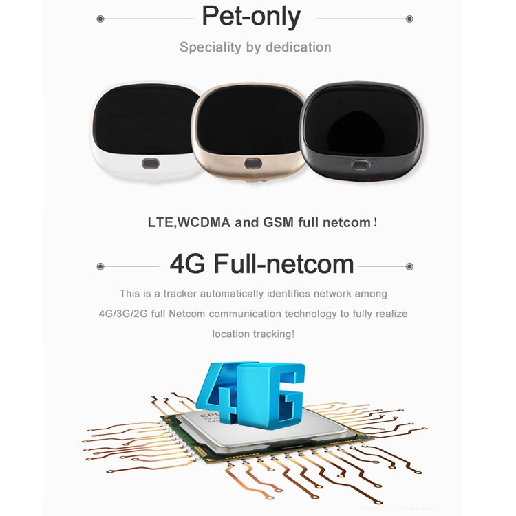 RF-V43 A Style IP67 Waterproof GPS + LBS + WiFi Pet Locator Pet Collar Tracking Device For Asia/Europe/Africa/Australia, RF-V43 A Style (Black), RF-V43 A Style (Gold), RF-V43 A Style (White)