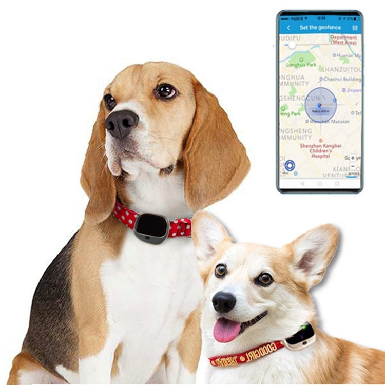 RF-V43 A Style IP67 Waterproof GPS + LBS + WiFi Pet Locator Pet Collar Tracking Device For Asia/Europe/Africa/Australia