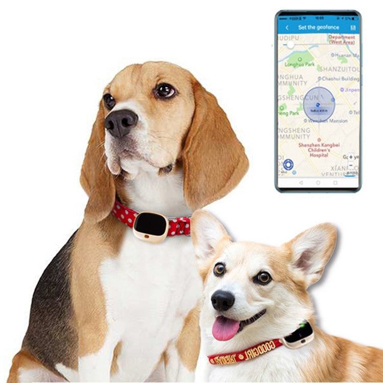 RF-V43 A Style IP67 Waterproof GPS + LBS + WiFi Pet Locator Pet Collar Tracking Device For Asia/Europe/Africa/Australia, RF-V43 A Style (Black), RF-V43 A Style (Gold), RF-V43 A Style (White)